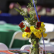 Kids Day on an Arabian Horse Farm