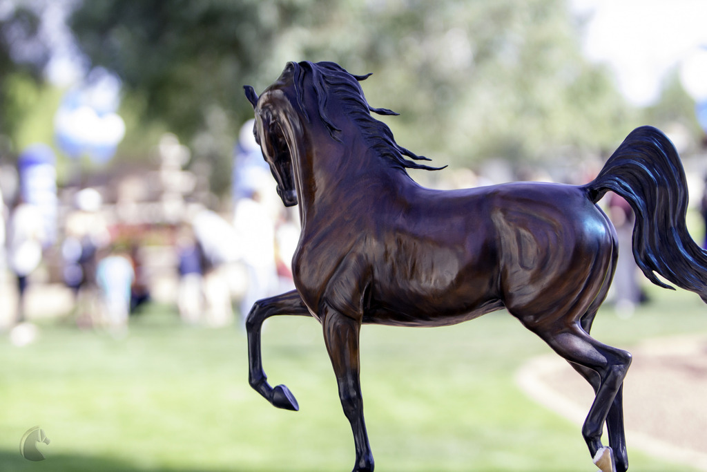 Kids Day on an Arabian Horse Farm