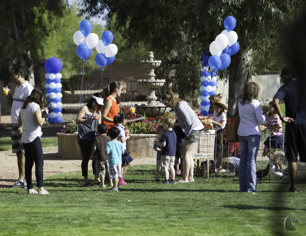 Kids Day on an Arabian Horse Farm