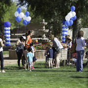 Kids Day on an Arabian Horse Farm