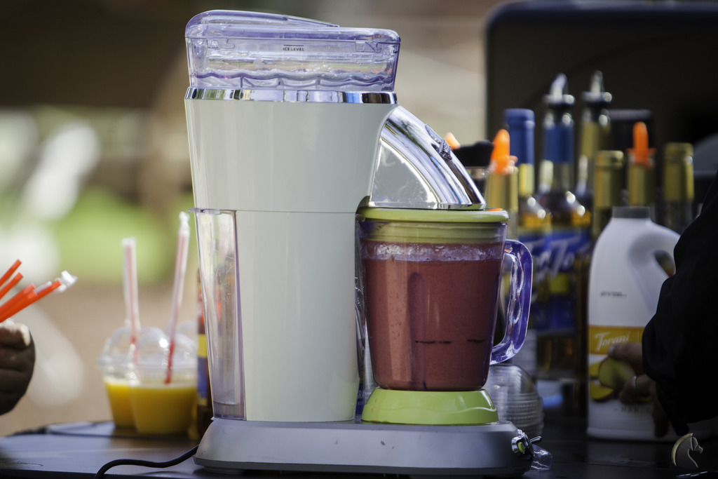 Kids Day on an Arabian Horse Farm