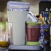 Kids Day on an Arabian Horse Farm