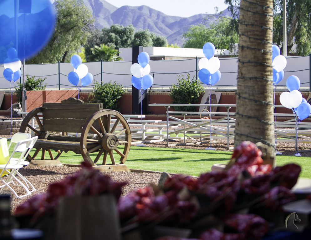 Kids Day on an Arabian Horse Farm