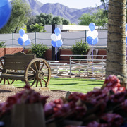 Kids Day on an Arabian Horse Farm