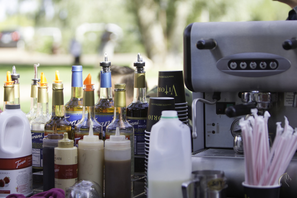 Kids Day on an Arabian Horse Farm
