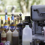 Kids Day on an Arabian Horse Farm