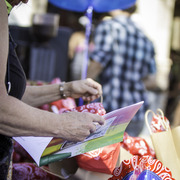 Kids Day on an Arabian Horse Farm