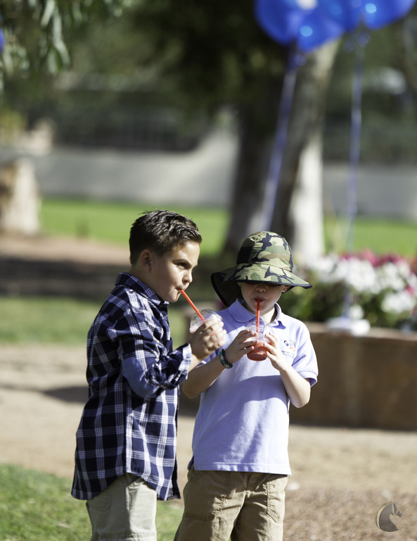 Kids Day on an Arabian Horse Farm