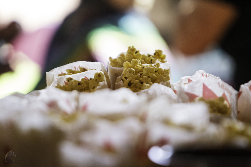 Kids Day on an Arabian Horse Farm