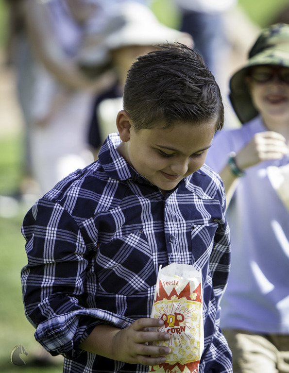 Kids Day on an Arabian Horse Farm
