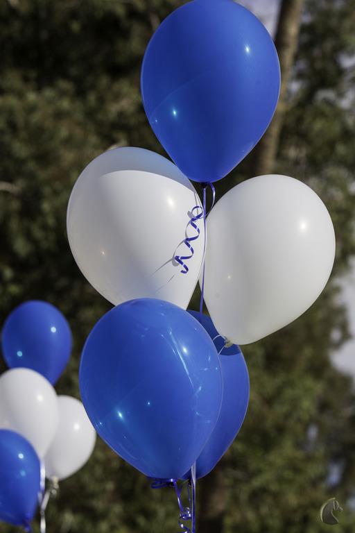 Kids Day on an Arabian Horse Farm