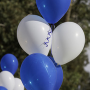 Kids Day on an Arabian Horse Farm