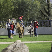 Kids Day on an Arabian Horse Farm