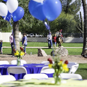 Kids Day on an Arabian Horse Farm