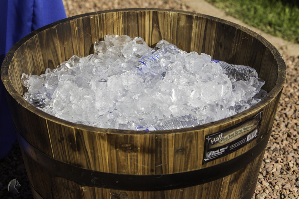 Kids Day on an Arabian Horse Farm