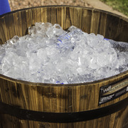 Kids Day on an Arabian Horse Farm