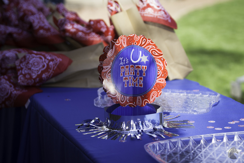 Kids Day on an Arabian Horse Farm