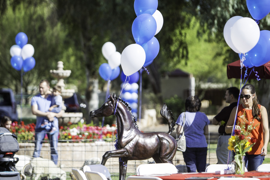Kids Day on an Arabian Horse Farm