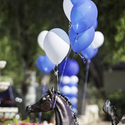 Kids Day on an Arabian Horse Farm