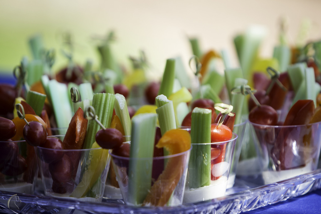 Kids Day on an Arabian Horse Farm