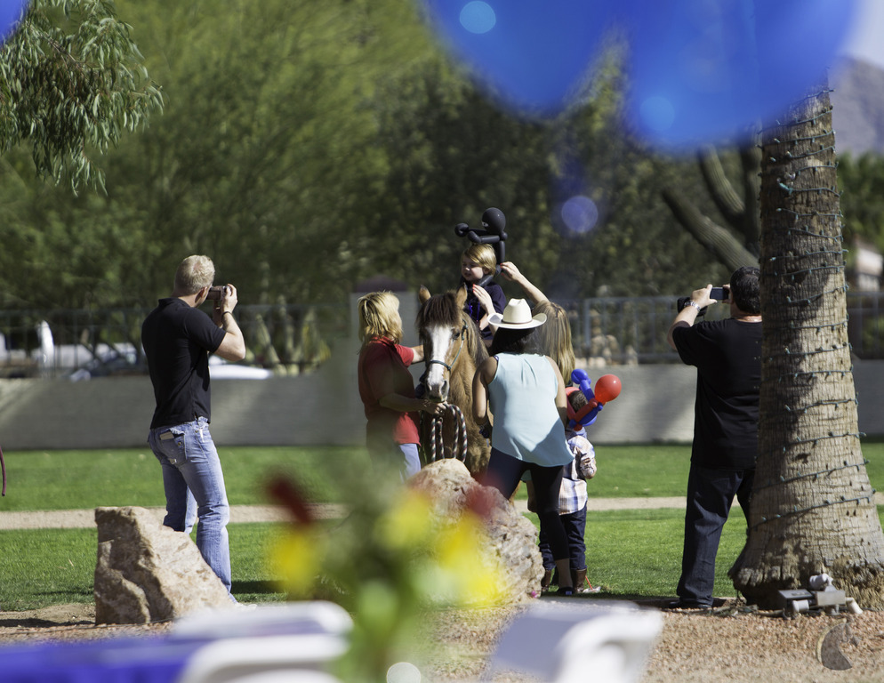 Kids Day on an Arabian Horse Farm