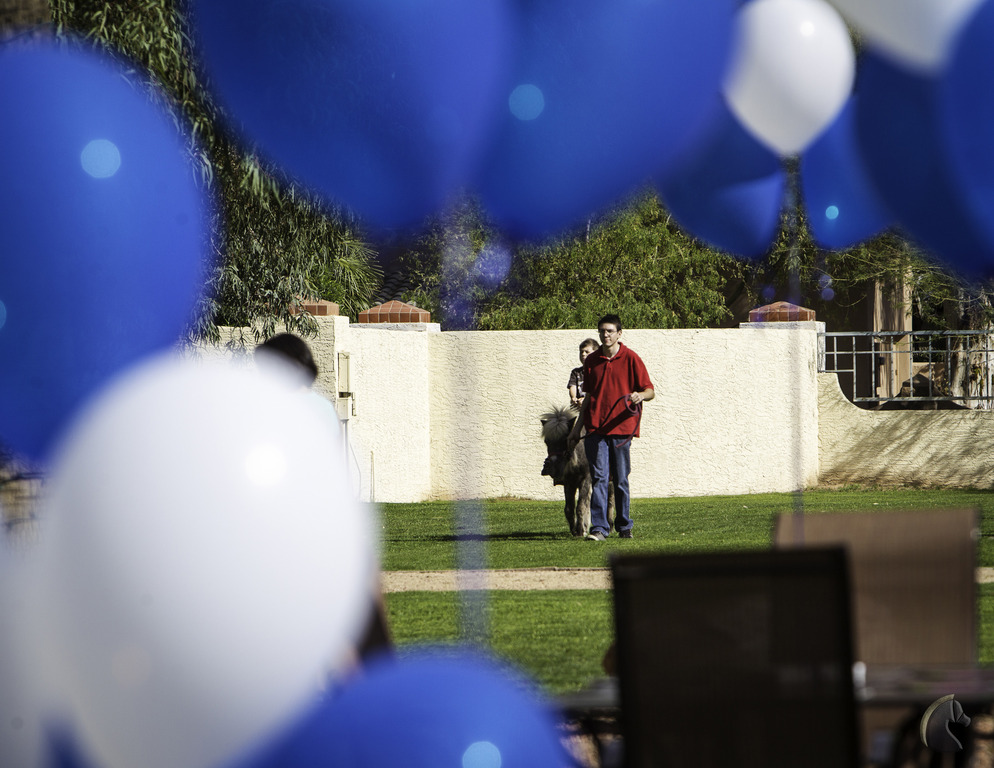 Kids Day on an Arabian Horse Farm