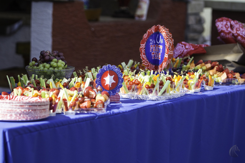 Kids Day on an Arabian Horse Farm