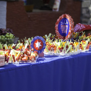 Kids Day on an Arabian Horse Farm