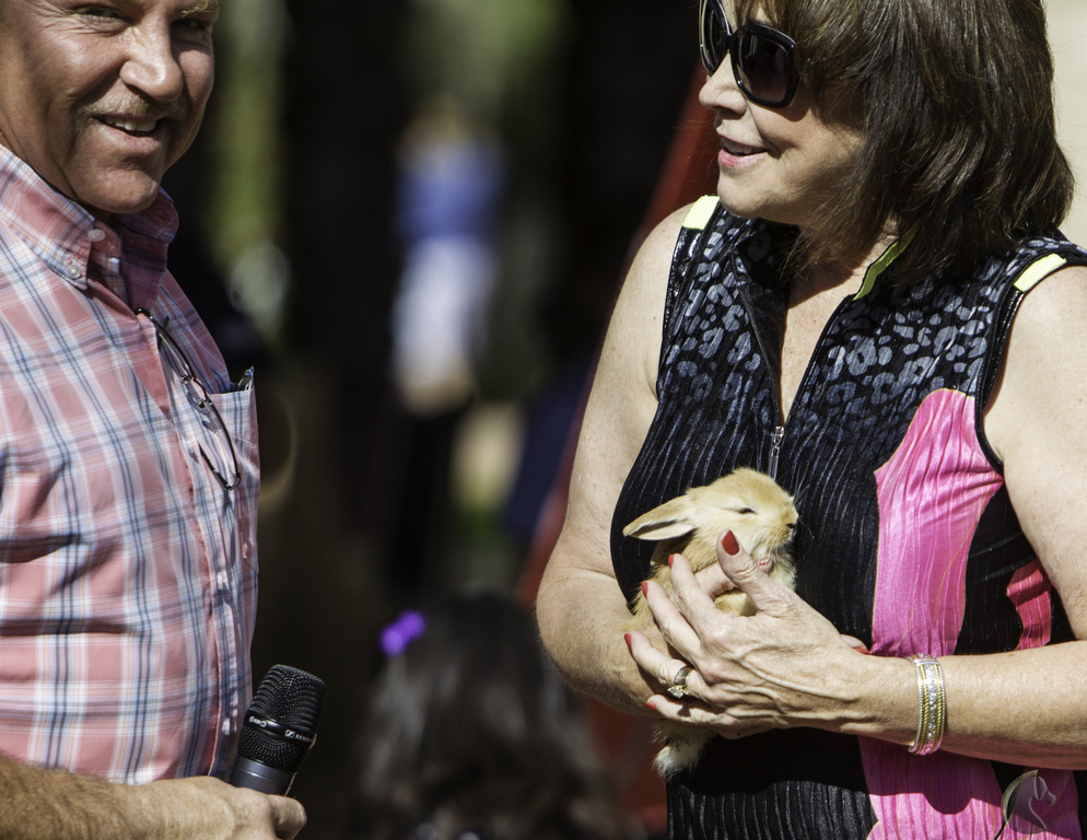 Kids Day on an Arabian Horse Farm