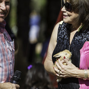 Kids Day on an Arabian Horse Farm