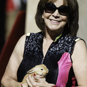 Kids Day on an Arabian Horse Farm