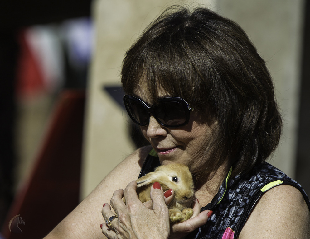 Kids Day on an Arabian Horse Farm