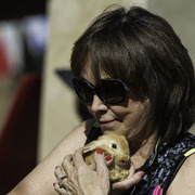 Kids Day on an Arabian Horse Farm