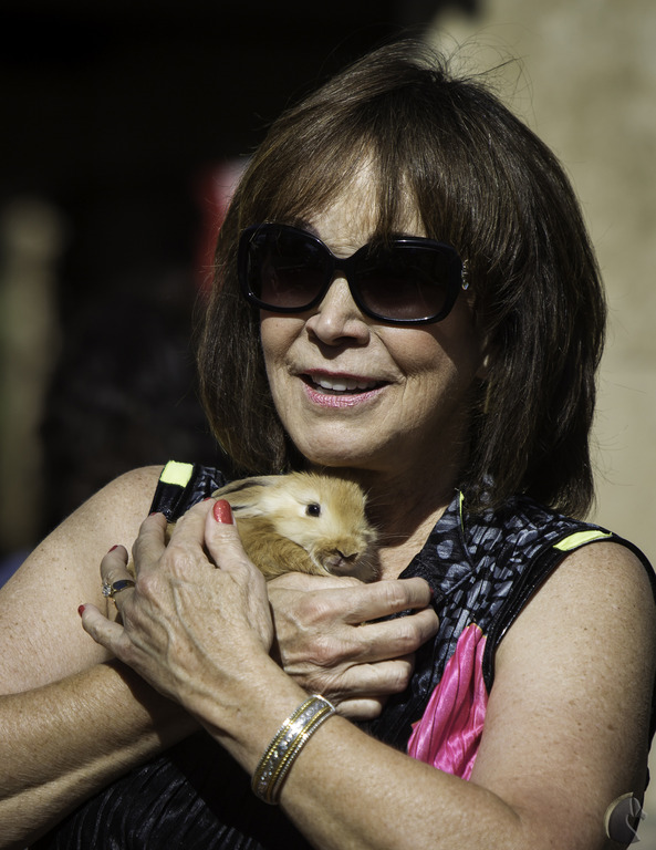 Kids Day on an Arabian Horse Farm