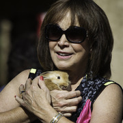 Kids Day on an Arabian Horse Farm