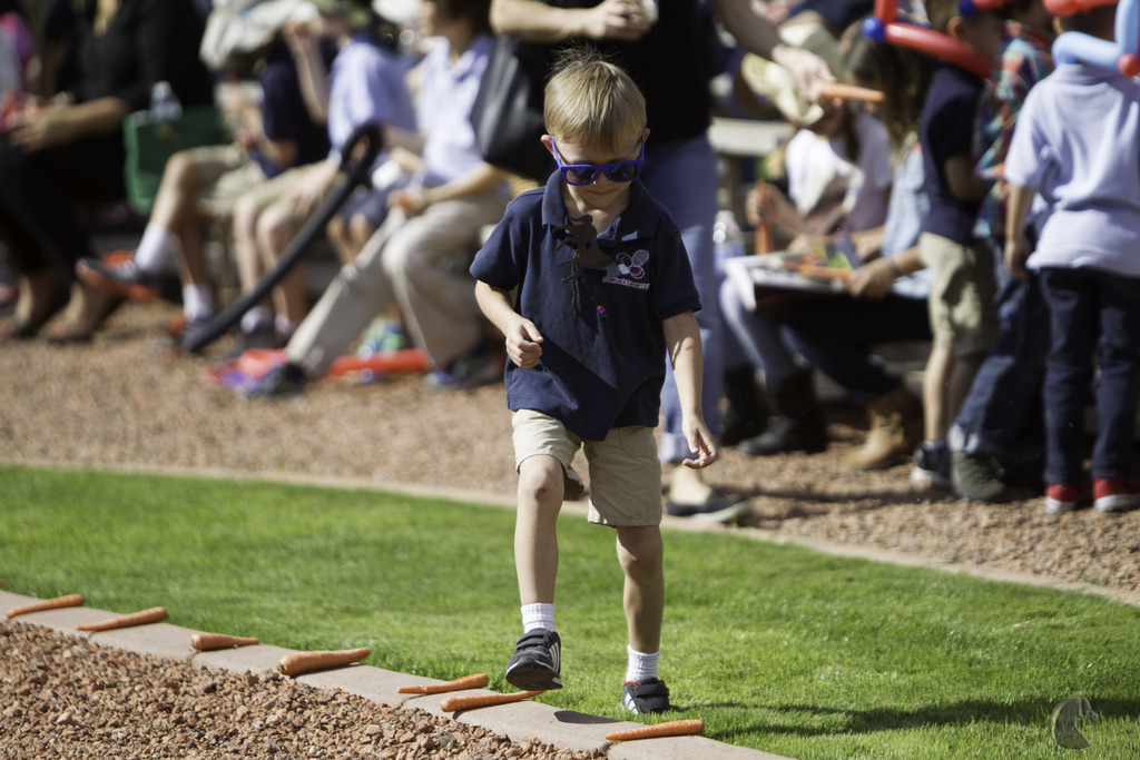 Kids Day on an Arabian Horse Farm