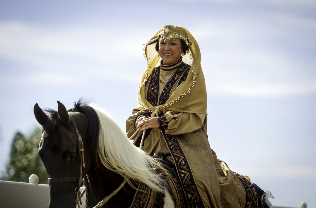 Kids Day on an Arabian Horse Farm