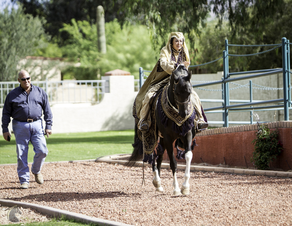 Kids Day on an Arabian Horse Farm
