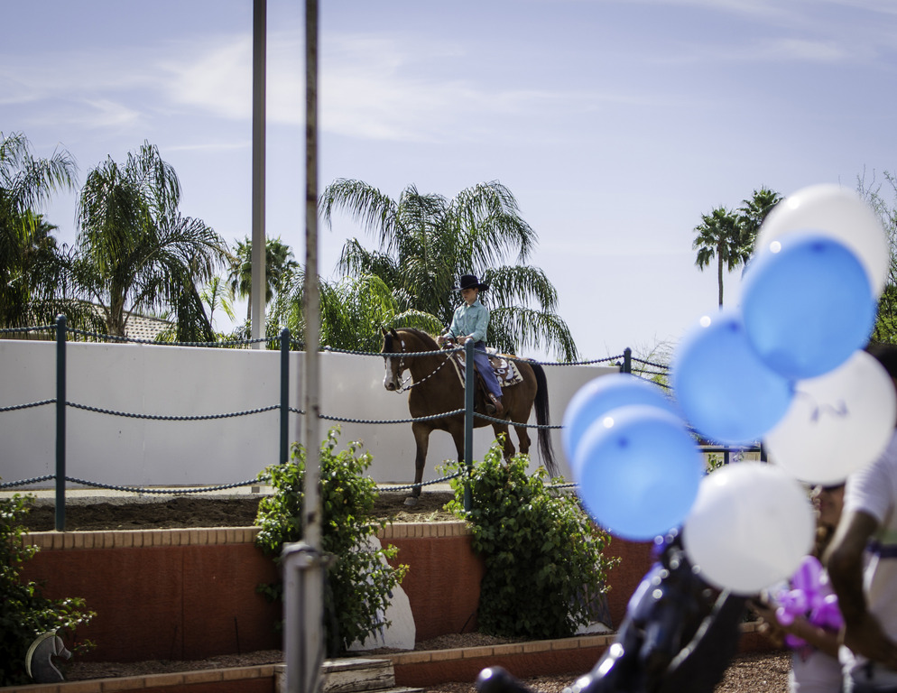 Kids Day on an Arabian Horse Farm