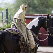 Kids Day on an Arabian Horse Farm
