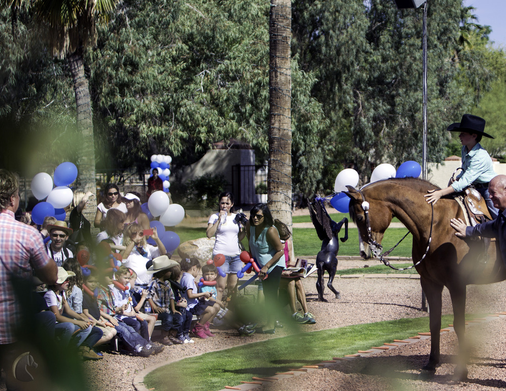 Kids Day on an Arabian Horse Farm
