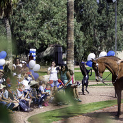 Kids Day on an Arabian Horse Farm