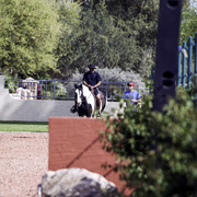 Kids Day on an Arabian Horse Farm