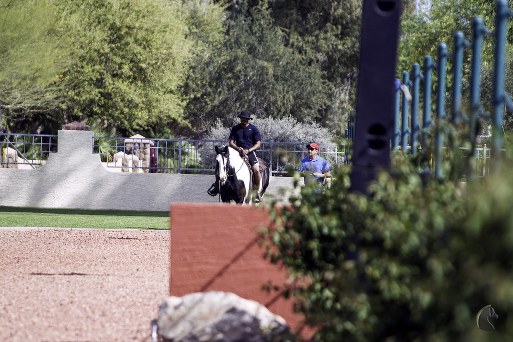 Kids Day on an Arabian Horse Farm