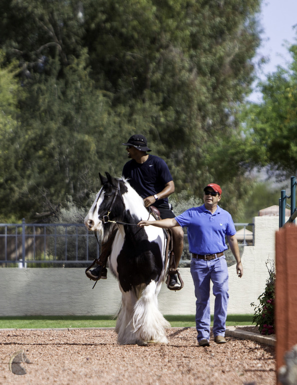 Kids Day on an Arabian Horse Farm