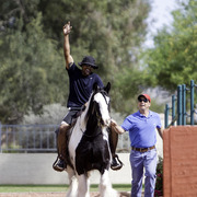 Kids Day on an Arabian Horse Farm