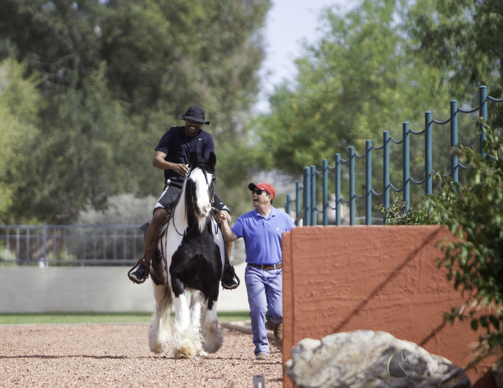 Kids Day on an Arabian Horse Farm