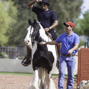 Kids Day on an Arabian Horse Farm