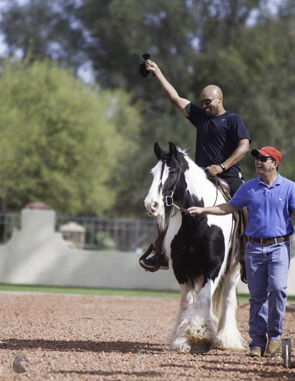 Kids Day on an Arabian Horse Farm