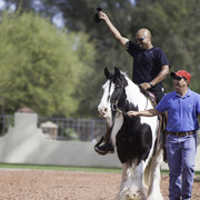 Kids Day on an Arabian Horse Farm